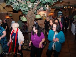 Wiener Stadtbräu 19. 01. 2025